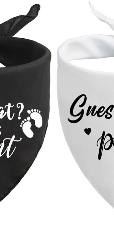 Pregnancy Announcement Dog Bandana Set for Dog Lovers