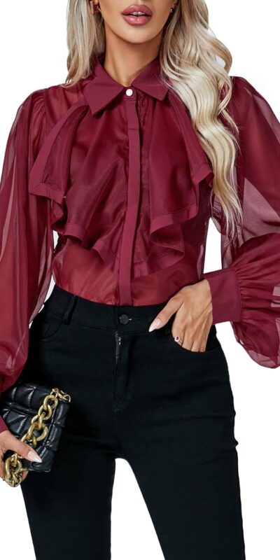 Rooscier Women's Sheer Mesh V Neck Blouse - Long Sleeve