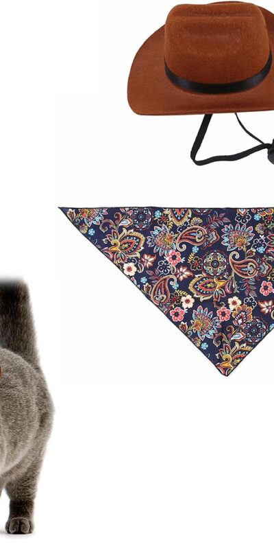 Pet Cowboy Costume Set for Small Dogs & Cats