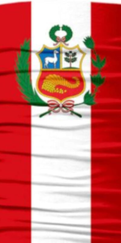 Peru Flag Bandana Face Mask Neck Gaiter - Large